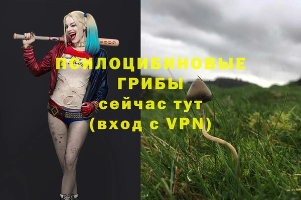 2c-b Абдулино