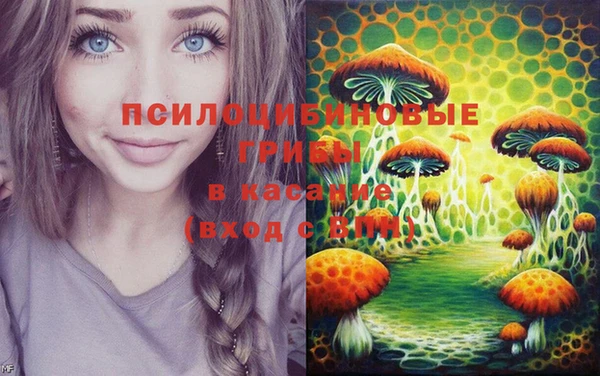 PSILOCYBIN Алексеевка