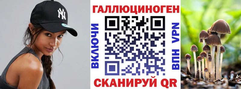 Псилоцибиновые грибы прущие грибы  где продают наркотики  Солнечногорск 